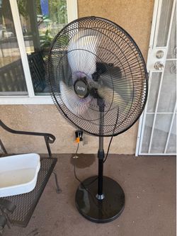 Fan