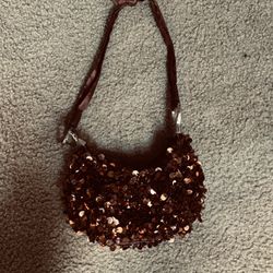 Cute Sequin Purse Clutch Size with strap of satin