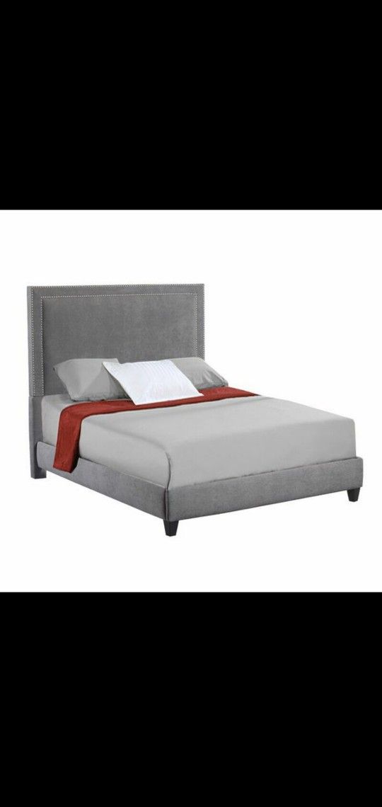 Queen Bed  and Mattress Box 