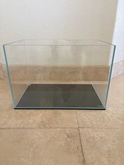 10 Gallon Rimless Tank & Supplies