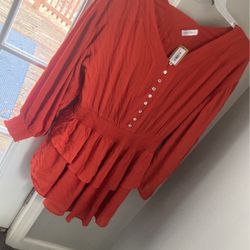 Vestique NWT Size L Dress