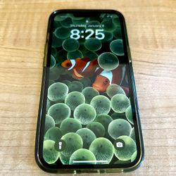 iPhone 13 Green