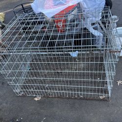 Metal Kennel