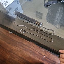 Dog Show Lead For Small Dogs