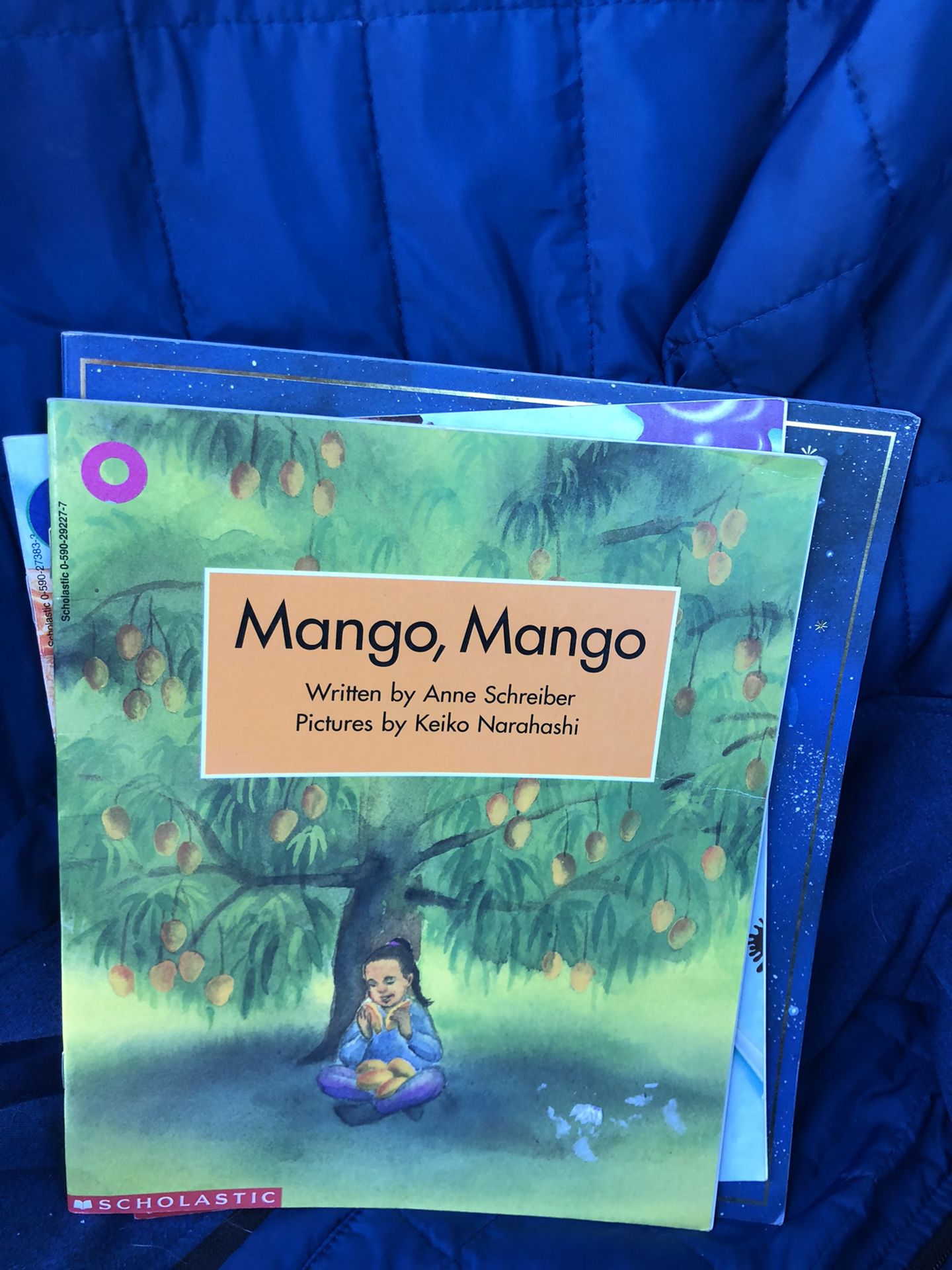 Mango book