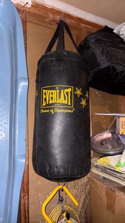 Everlast Heavy Punching Bag