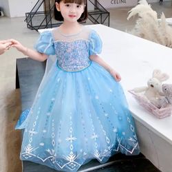 Light Blue Princess Gown. Size 2T
