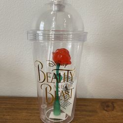 Beauty and the Beast Disneyland Tumbler 