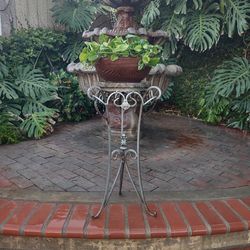 Green & marvel Queen pothos plant in a terracotta clay pot