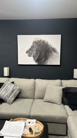 Picture