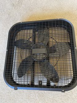 Fan
