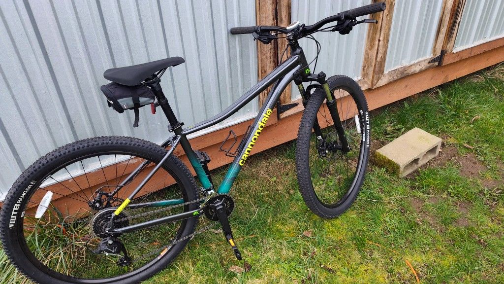 Cannondale Mountain Bike