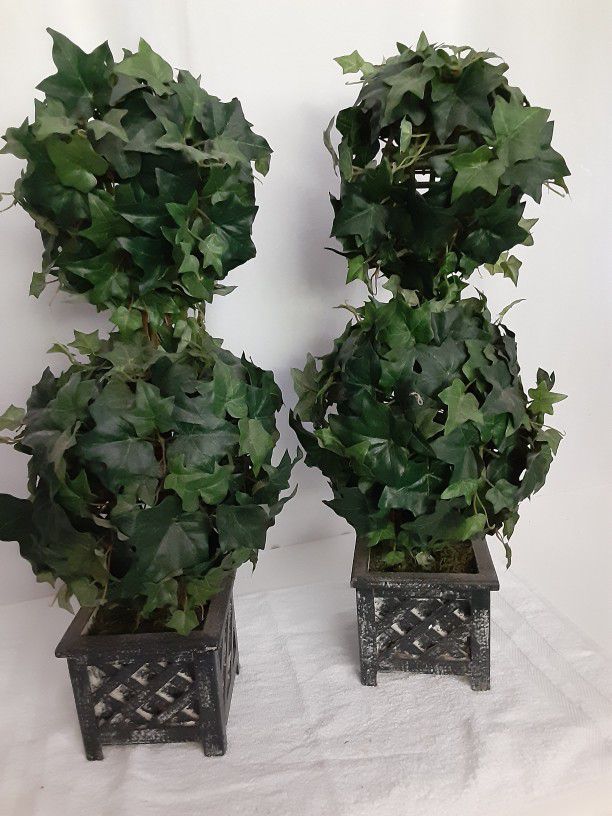 Topiarys Pair