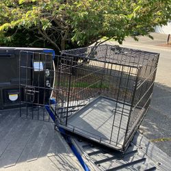 Medium Dog Kennel Crate Collapsible like New 30” L by 19” W 21”H