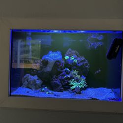 Aquarium Tank Reef/ Fresh Water 