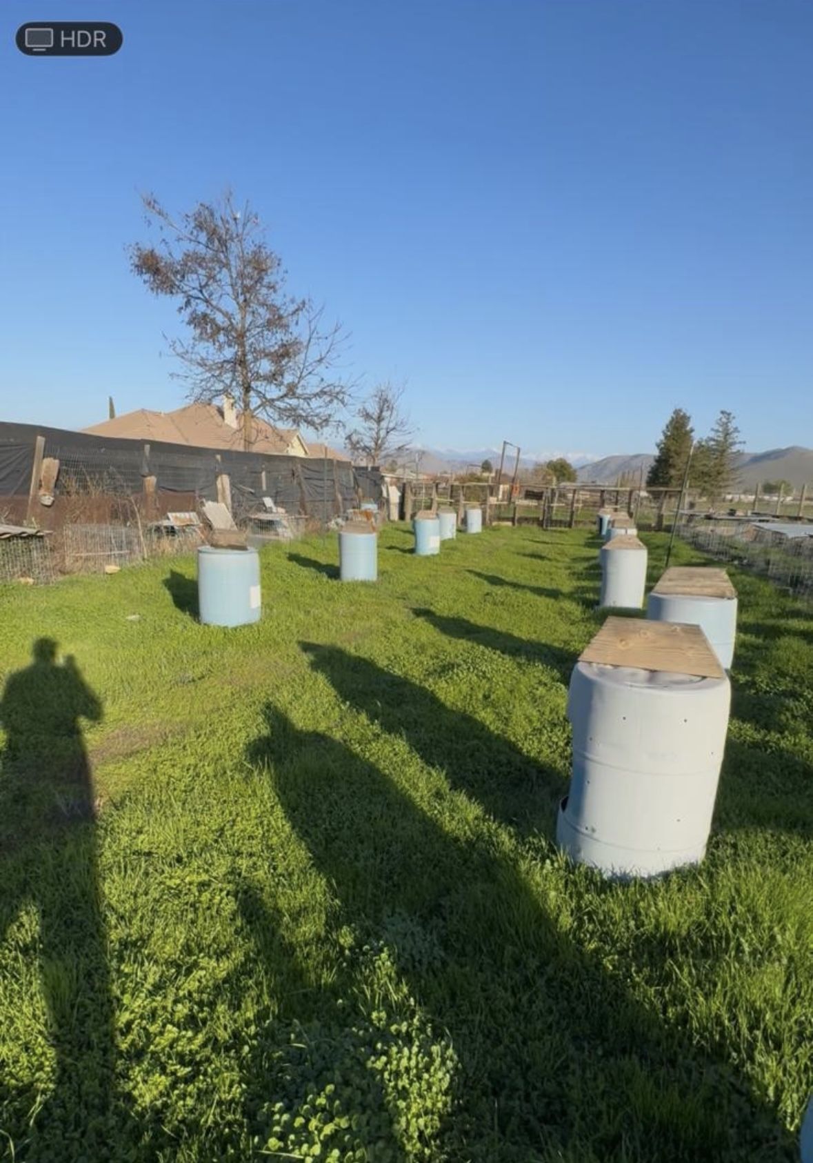 Gamebird Cages and barrel/tiecords