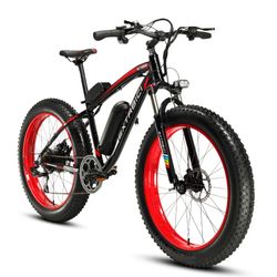 Wide Wheeled Electric Bike