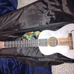 6 String Ukulele 