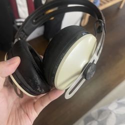 sennheiser momentum