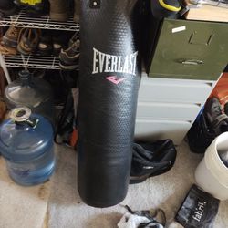 Everlast Boxing Bag And Gloves