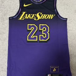 LA Lakers Nike NBA Authentic City LakeShow LeBron Jersey Men Sz S 40 FQ4469-504