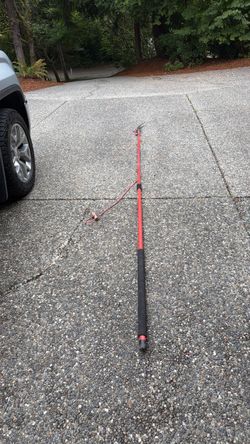 Telescoping Pole Saw / Pruner