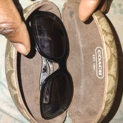 Coach Sunglasses 