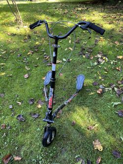 TRIKKE T12 Roadster Scooter 3-WHEEL Carving Scooter disc brakes