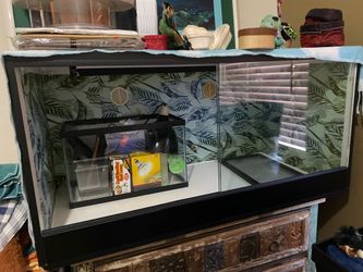 glass enclosed terrarium 20 in X 12 1/2 in