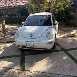 Volkswagen Beetle 03