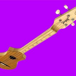 Seagull M4 Merlin ‘Educational Model’ Mountain Dulcimer Acoustic Guitar