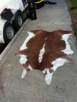 Area if with cow pattern man made