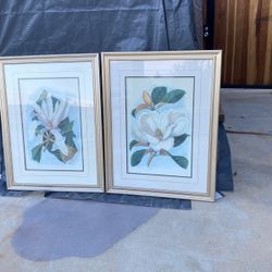 Flower Wall Pictures -pair