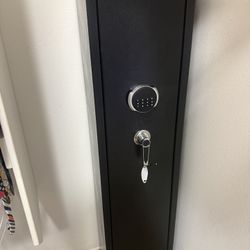 Gun Safe