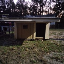 Dog House 