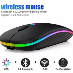 Wireless Rechargeable Mouse with RGB lights 
