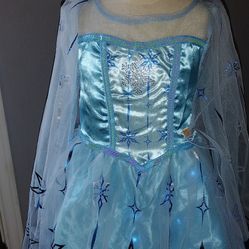 Frozen Birthday Party Costume Toddler LED Light 