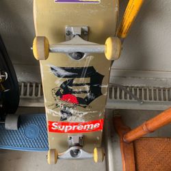 Skate Board 
