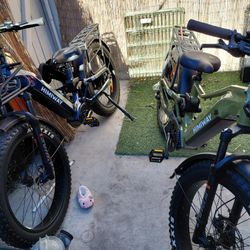 Hemingway e bikes d5 2 .0model