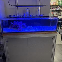 Aquarium Reef Tank