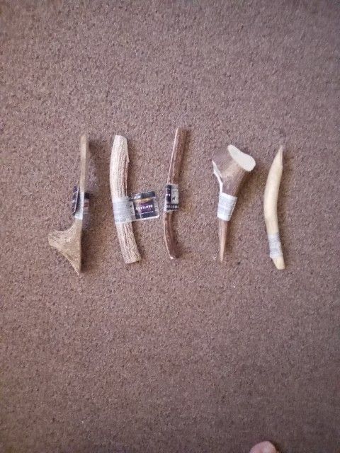 Elk Antlers -Dog Treats