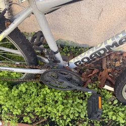 roadmaster moutain bike ( READ DESCRIPTION)