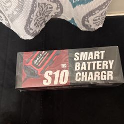 Smart Battery Charger 
