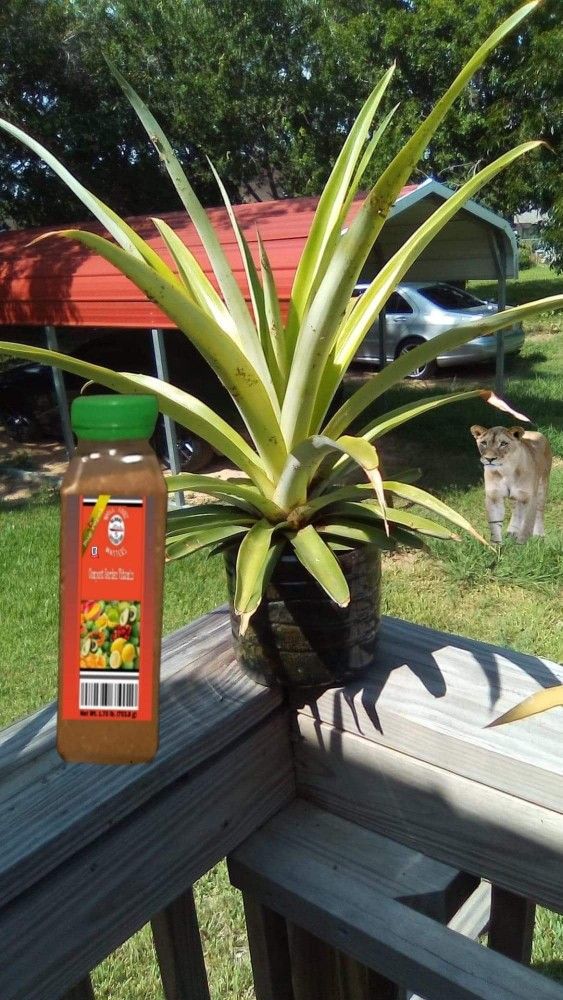 All Natural Gardening Compost