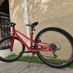 Specialized 24 Inch Gear Bicycle $120