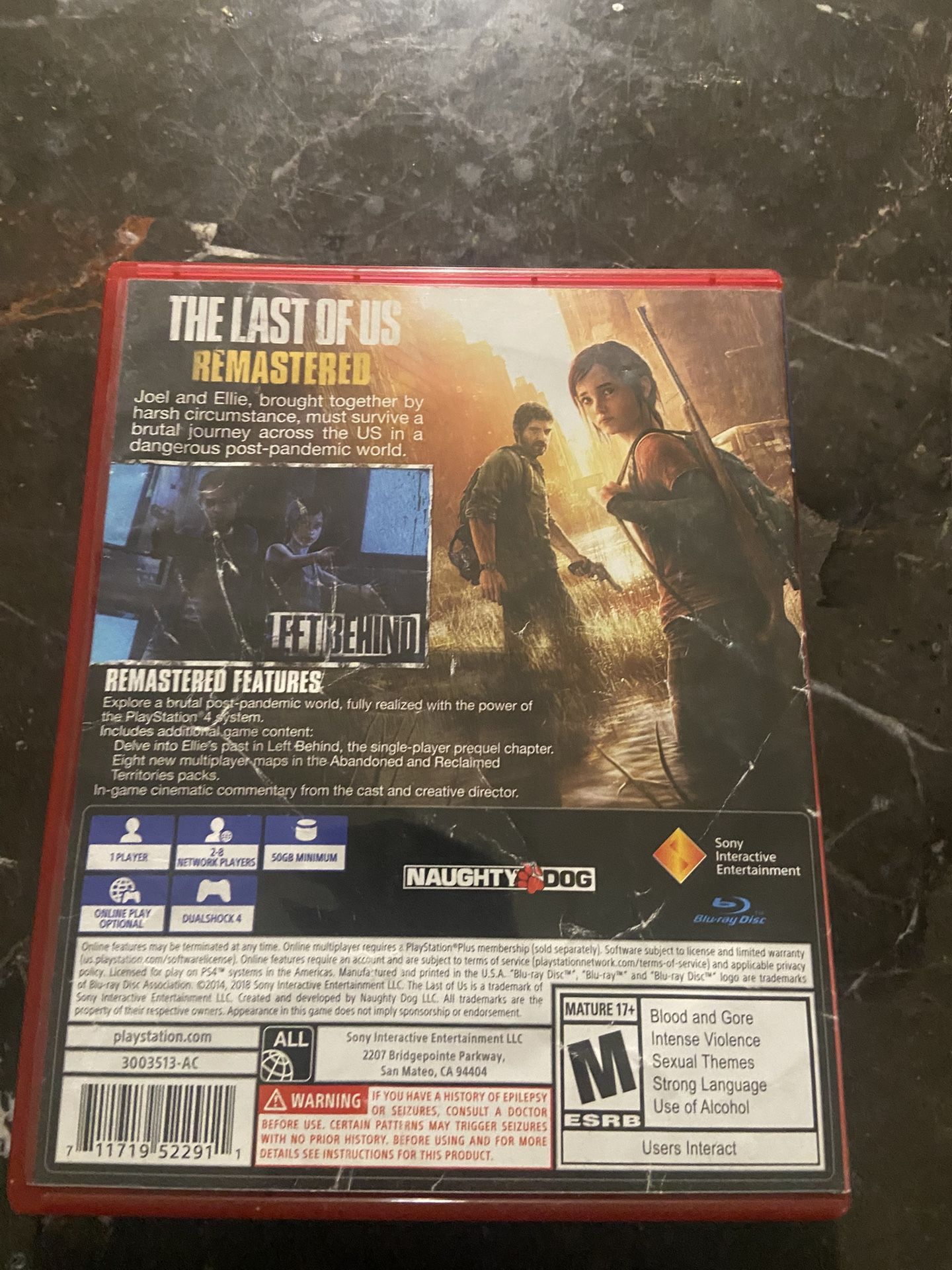 Video Game
