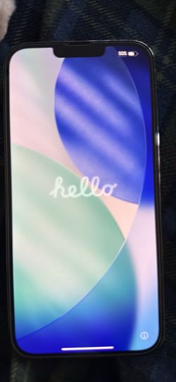 iPhone 13 Pro Max 256GB Unlocked | 100% Battery Health | Excellent Condition
