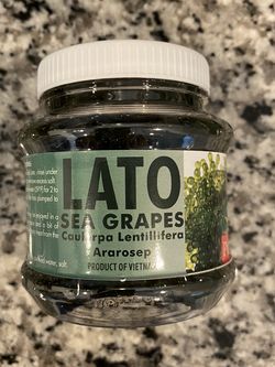 PureGold LATO Sea Grapes