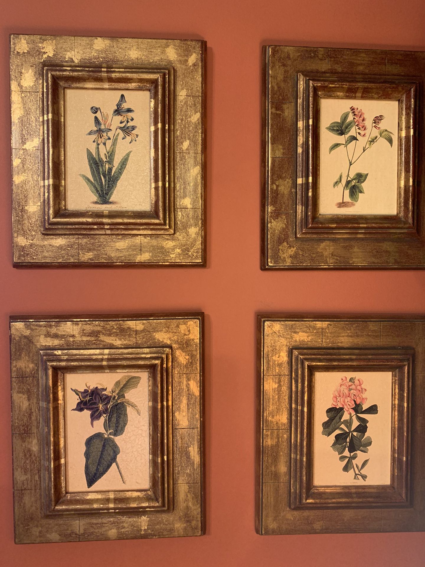 Orchid Bloom Framed Art Set (4)