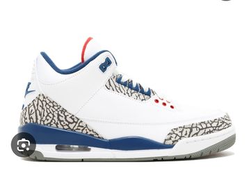 Air Jordan 3 True Blue